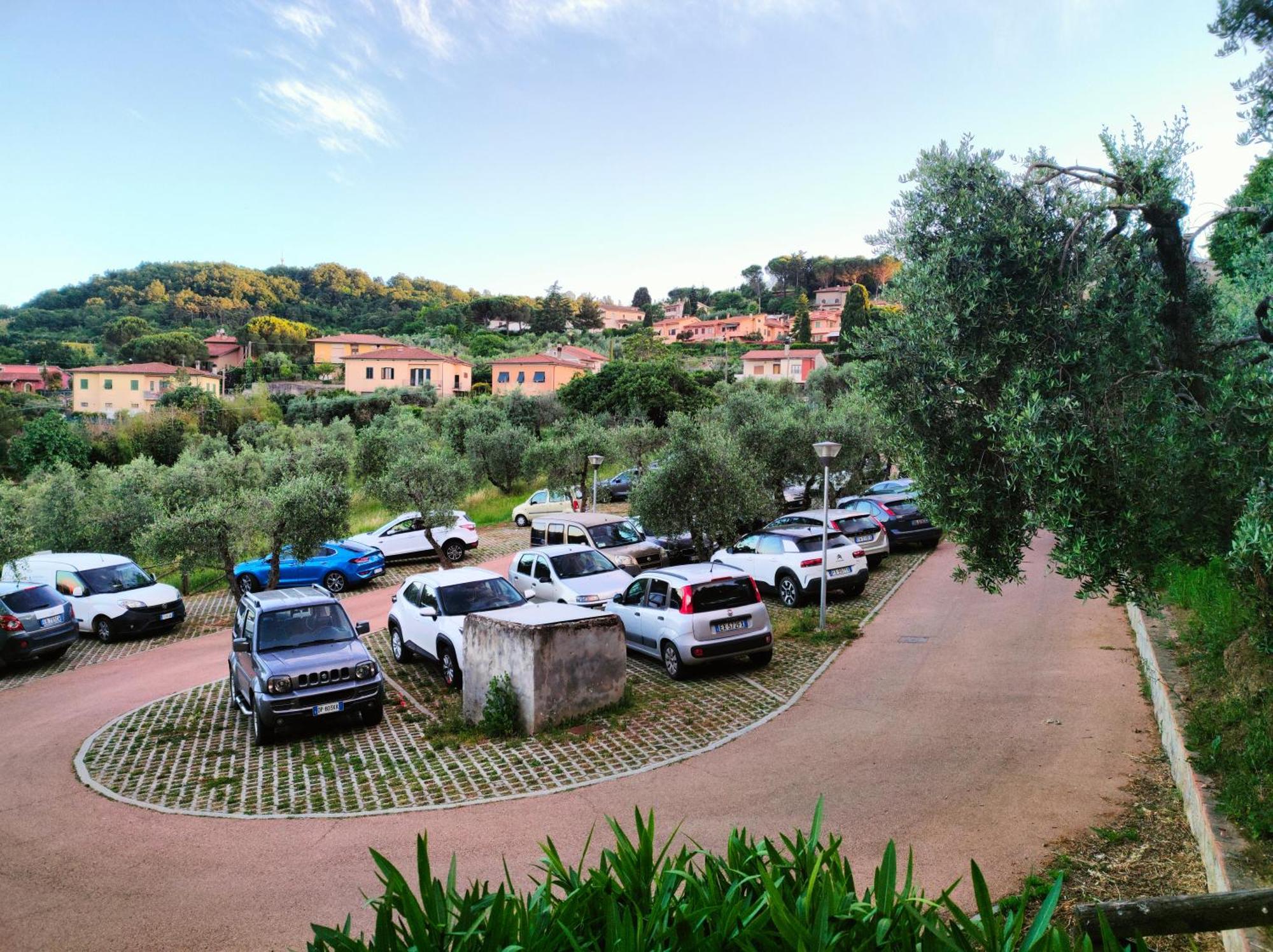 La Casina Di Colle - Appartamento Rustico Sulle Colline Di Pisa カシャーナ・テルメ エクステリア 写真